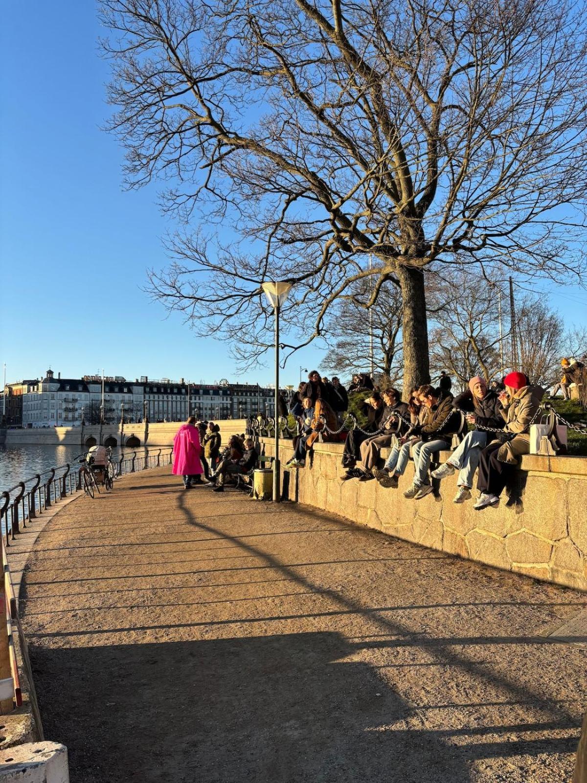 Unbeatable Cph Location - Local With Sunny Terrace Copenhagen
